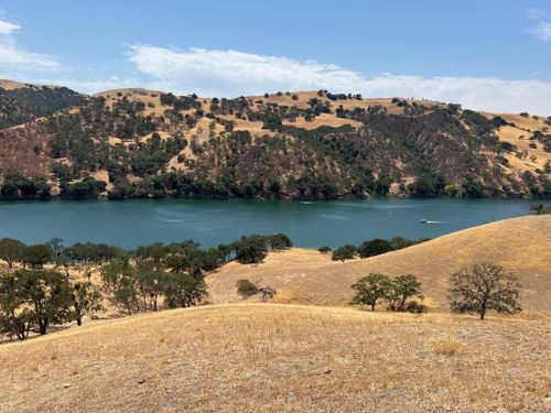 can dogs swim in lake del valle