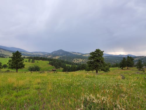 White ranch discount park mountain biking