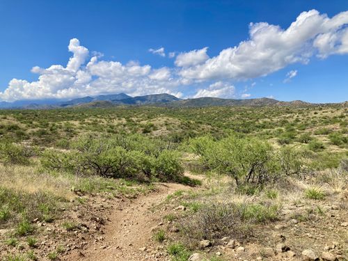 Best 10 Hikes And Trails In Oracle State Park 