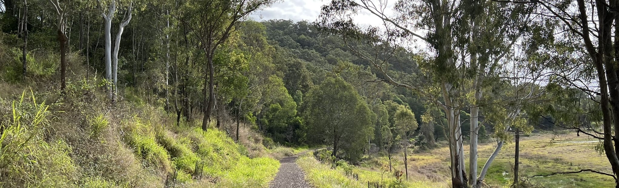 Mary Valley Rail Trail, Queensland, Australia 70 Reviews, Map AllTrails