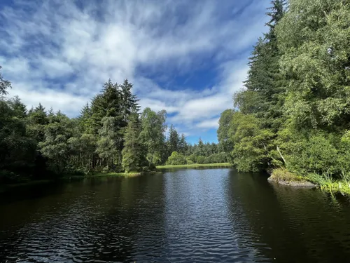 10 Best Forest Trails in Kirroughtree Forest | AllTrails