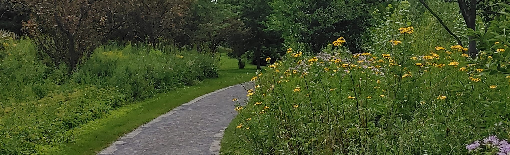 SaintCharles River Loop via Victoria Park, Quebec, Canada 96 Reviews