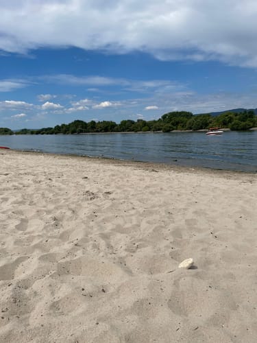 Von Ingelheim zum Heidesheim und den Inselrhein
