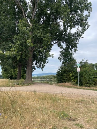 Von Ingelheim zum Heidesheim und den Inselrhein