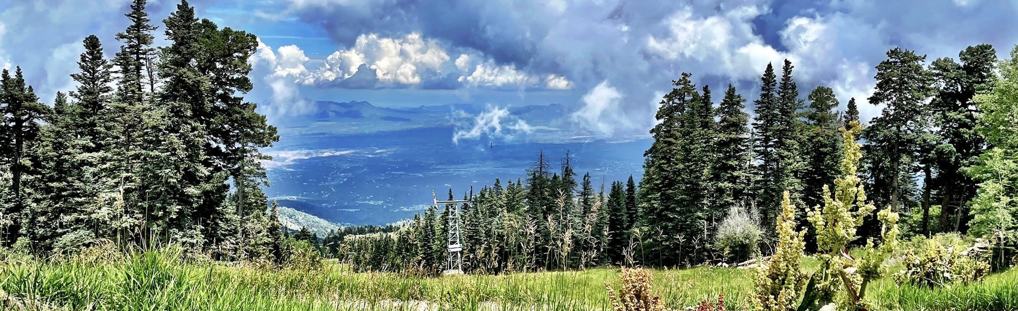 AllTrails King of the Mountain, Golden Eagle 17 Reviews, Map New