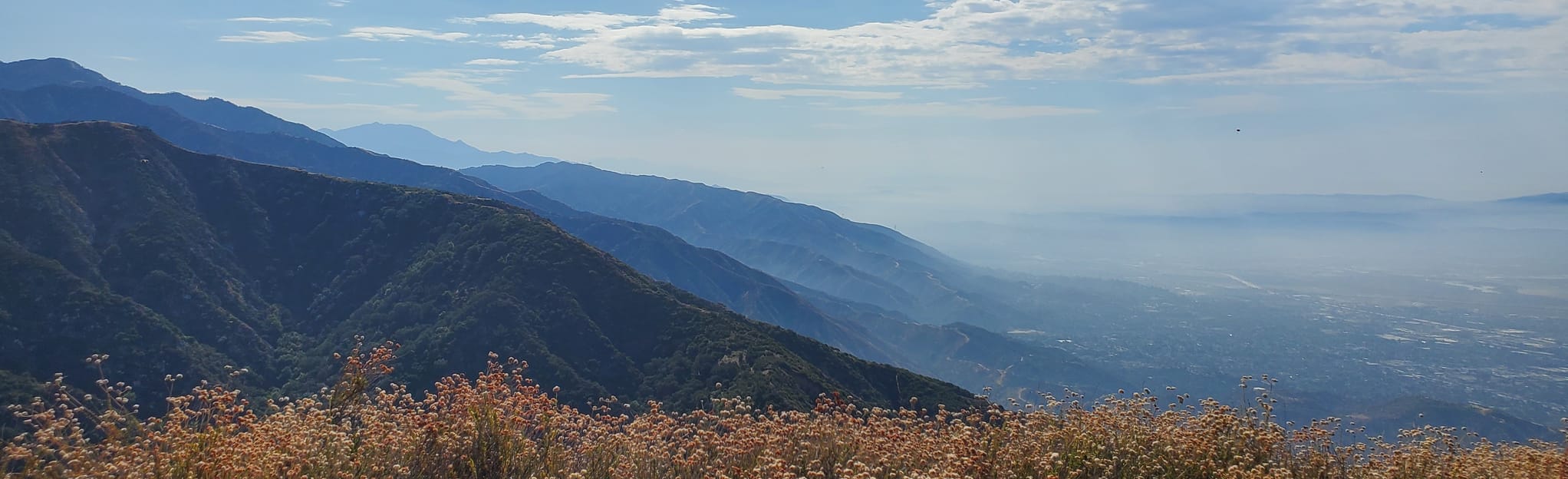 Mount Wilson Trail to Bailey Canyon Loop 649 Reviews, Map California