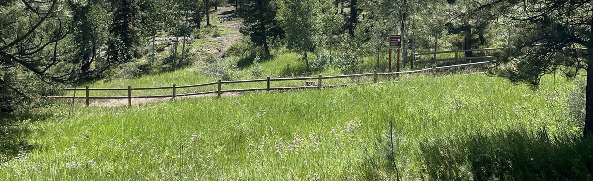 Winiger Ridge: 41 Reviews, Map - Colorado | AllTrails