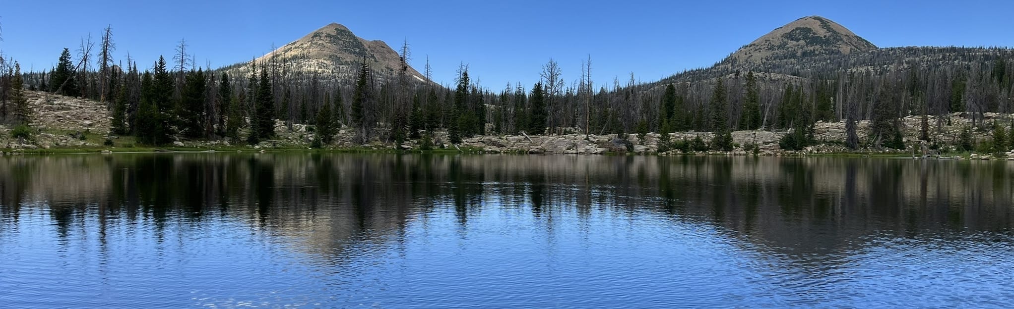 Weir Lake, Utah 39 Reviews, Map AllTrails