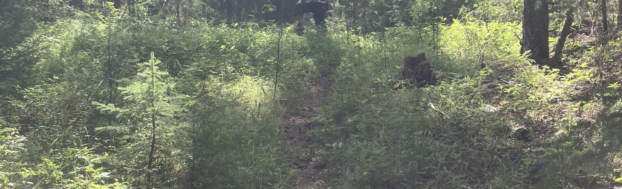 Lac La Hache Interpretive Trail 8 Reviews, Map British Columbia