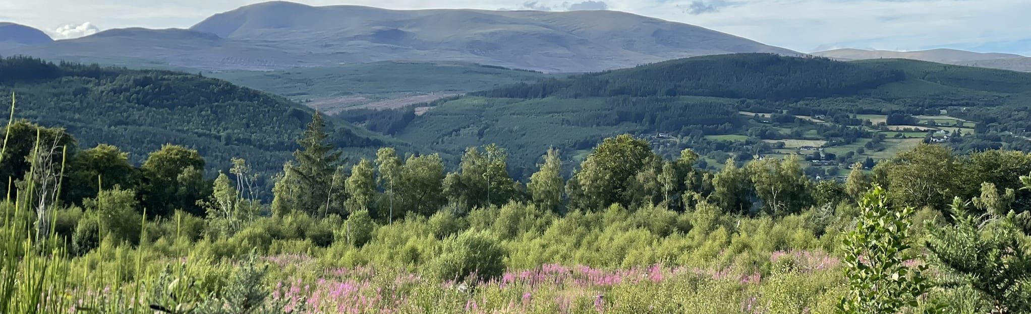 Blackmuir Wood Circular 29 Reviews, Map Highlands, Scotland AllTrails