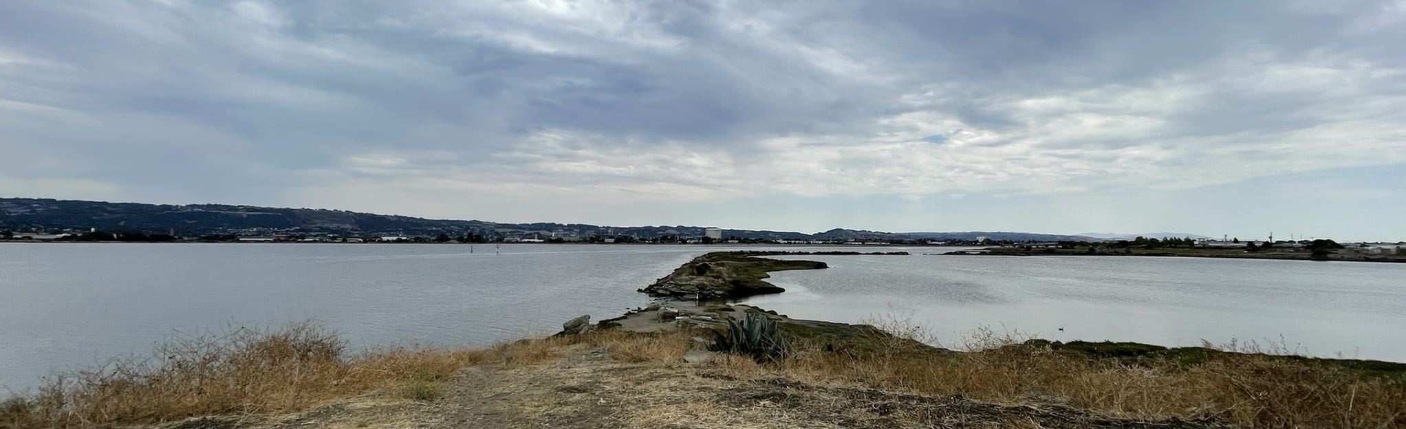 Bay Farm Island Loop Trail, California 995 Reviews, Map AllTrails