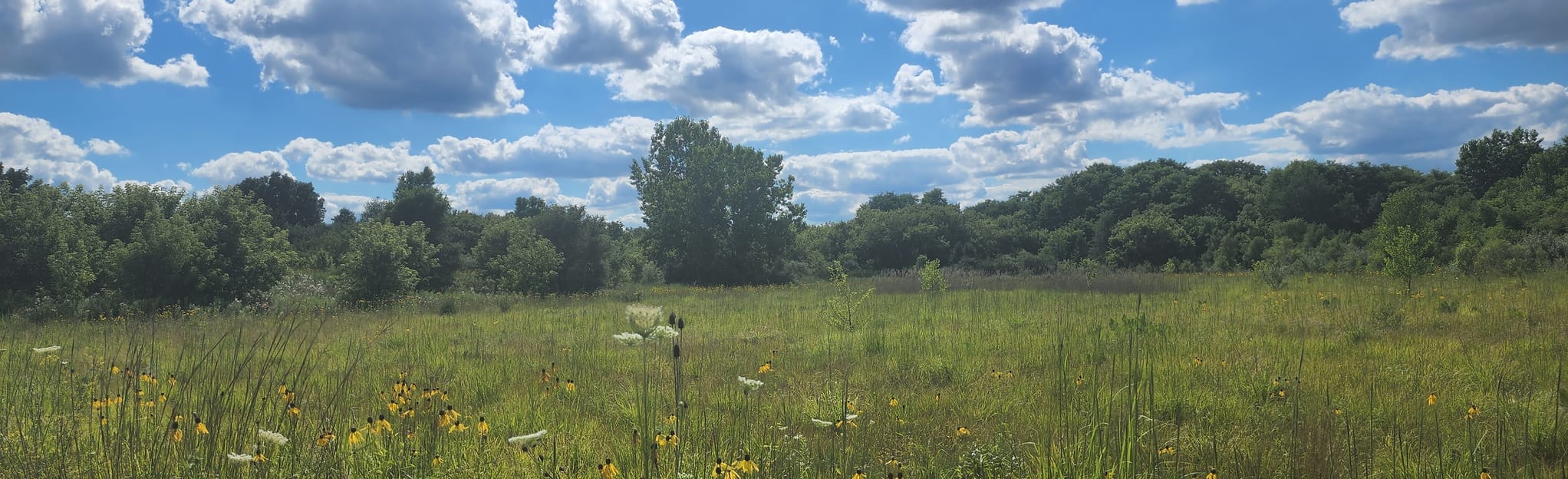 Rolling Hills MTB Trail, Michigan 88 Reviews, Map AllTrails