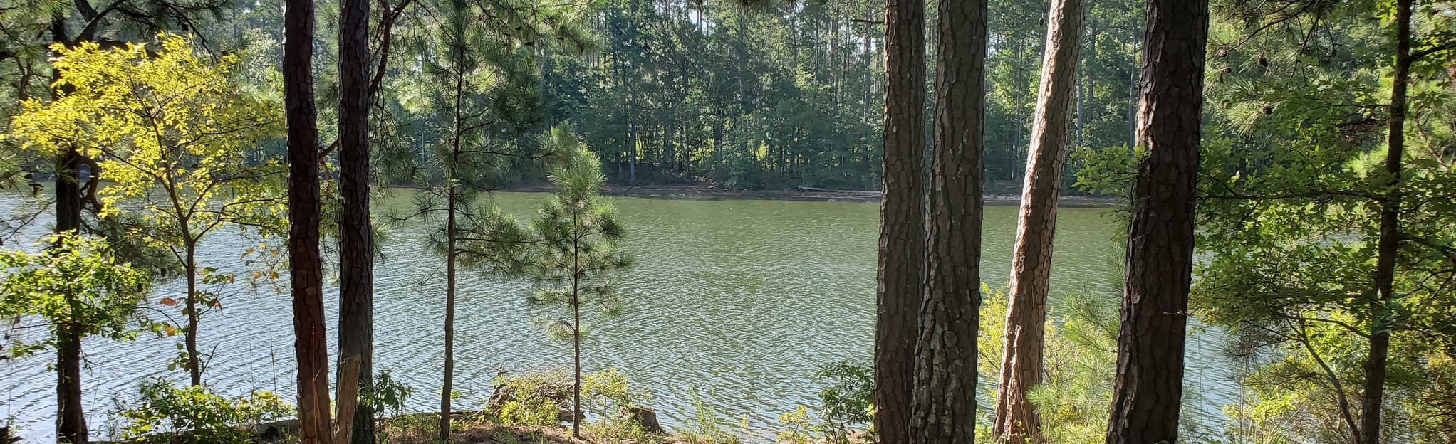 Keg Creek Loop 105 Reviews, Map AllTrails