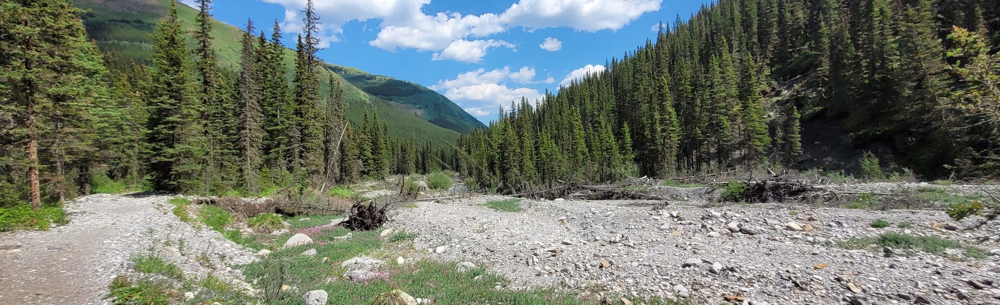Ribbon Falls via Ribbon Creek Trail, Alberta, Canada 905 Reviews, Map