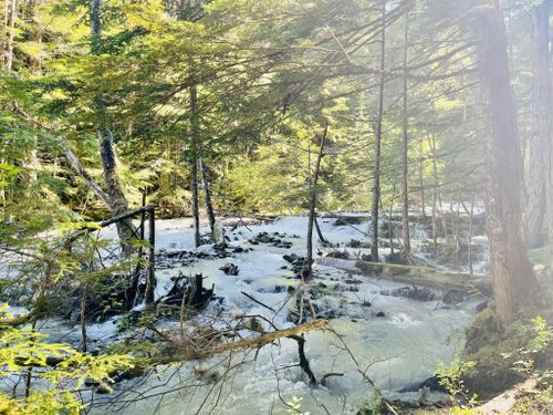 2023 Best Wild Flowers Trails In Seven Sisters Provincial Park ...