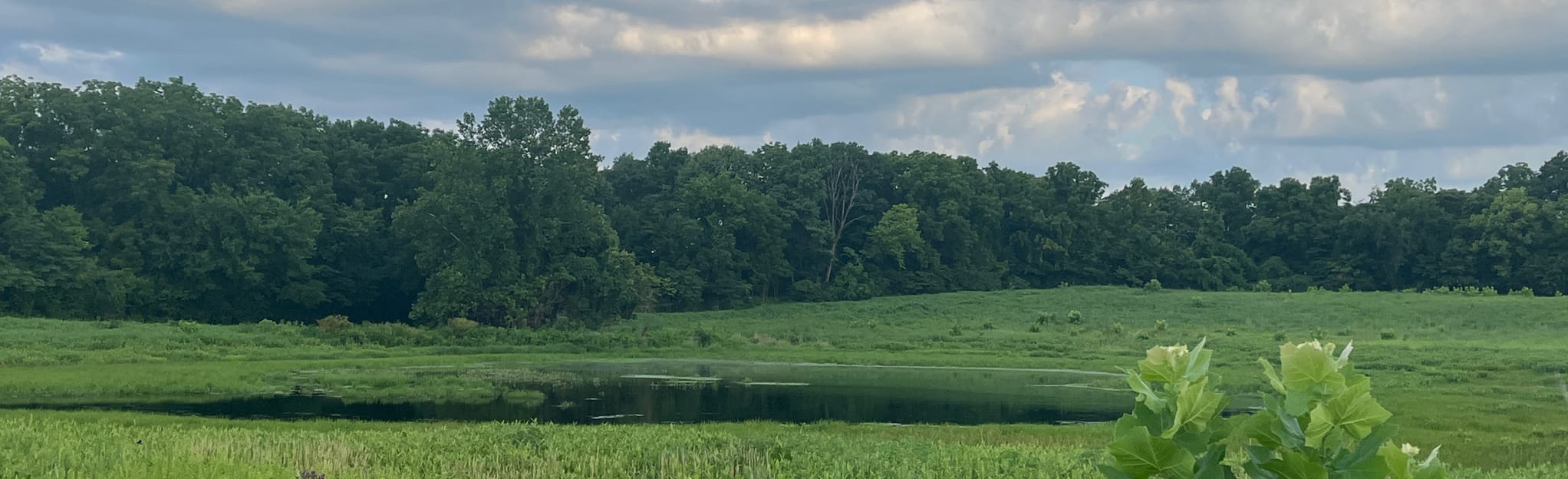 Fort Bellefontaine Loop Trail 1167 Reviews, Map Missouri AllTrails