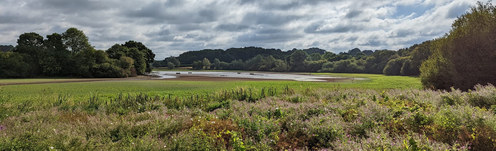 Weir Wood Reservoir Loop 56 Reviews, Map West Sussex, England AllTrails