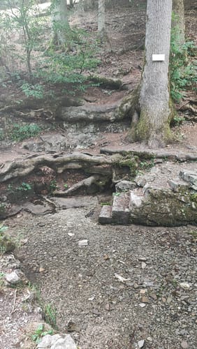 Löwenpfad Filsursprung-Runde