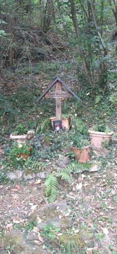 Koberner Burgpfad (Traumpfad)
