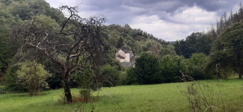 Koberner Burgpfad (Traumpfad)