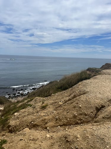 Point Woods Loop Trail Photos Of Point Woods Loop Trail - New York | Alltrails