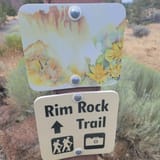Rim Rock Trail, Oregon - 274 Reviews, Map | AllTrails