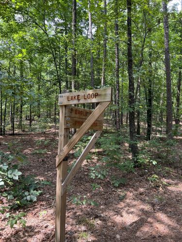 Best Hikes and Trails in Conner Park | AllTrails