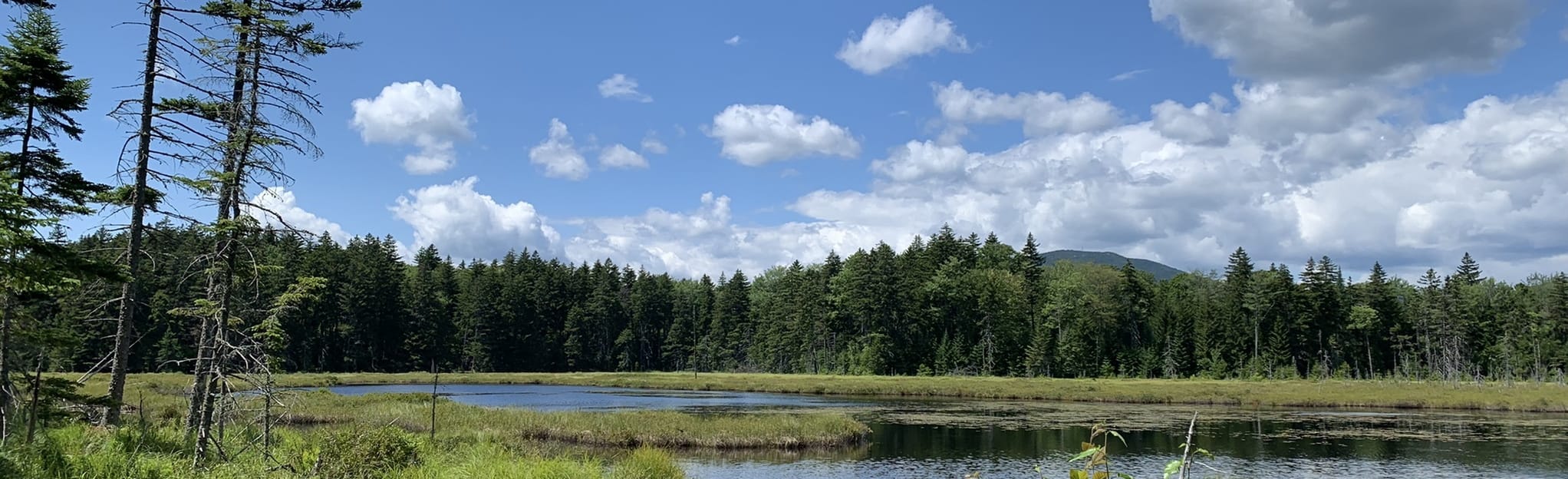 Little Moose Pond Trail, Maine 126 Reviews, Map AllTrails