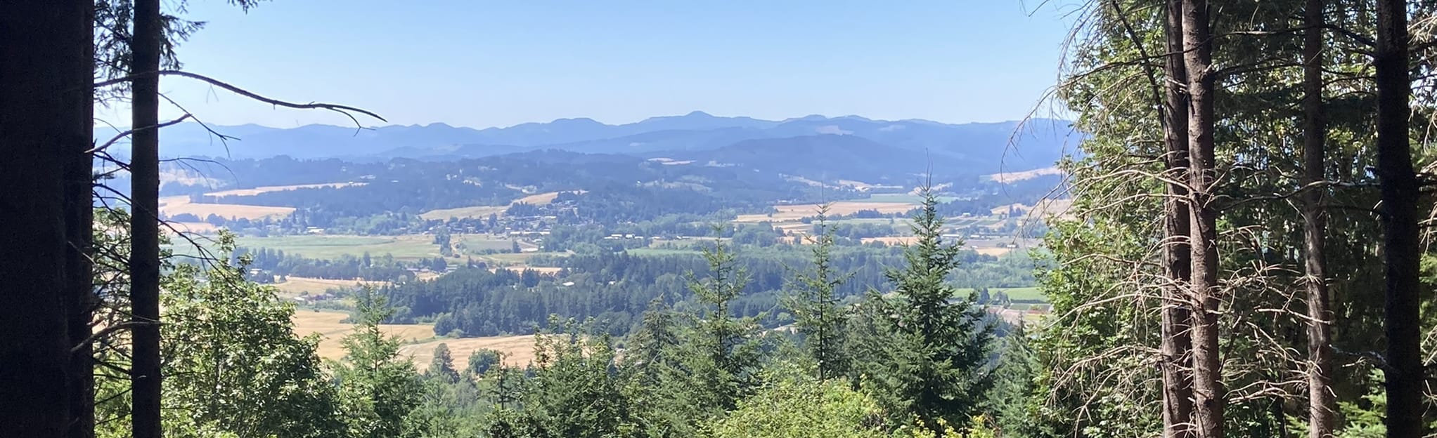 Timber Road, Chehalem Ridge, and Madrona Trail : 356 photos - Oregon ...