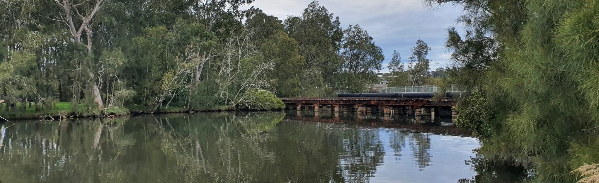 Fennell Bay Kayak 2 Reviews, Map New South Wales, Australia AllTrails