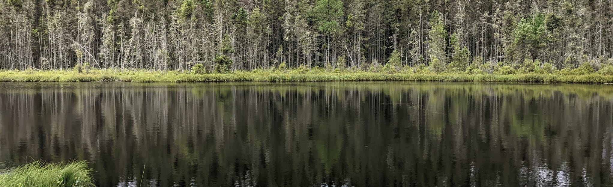 Whispering Lake Loop 74 Reviews, Map Wisconsin AllTrails