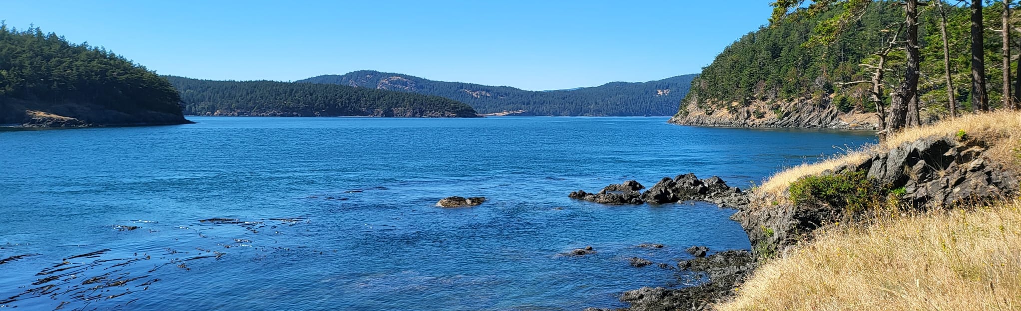 James Island Trail 17 Reviews, Map Washington AllTrails