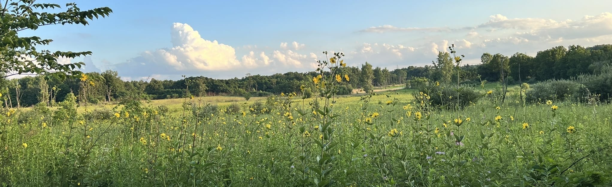 potato creek bike trails