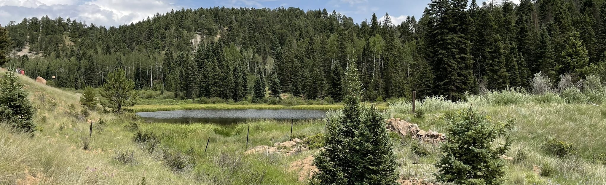 Rock Pond, Rock Canyon, and Outlook Ridge Trails Loop Map, Guide
