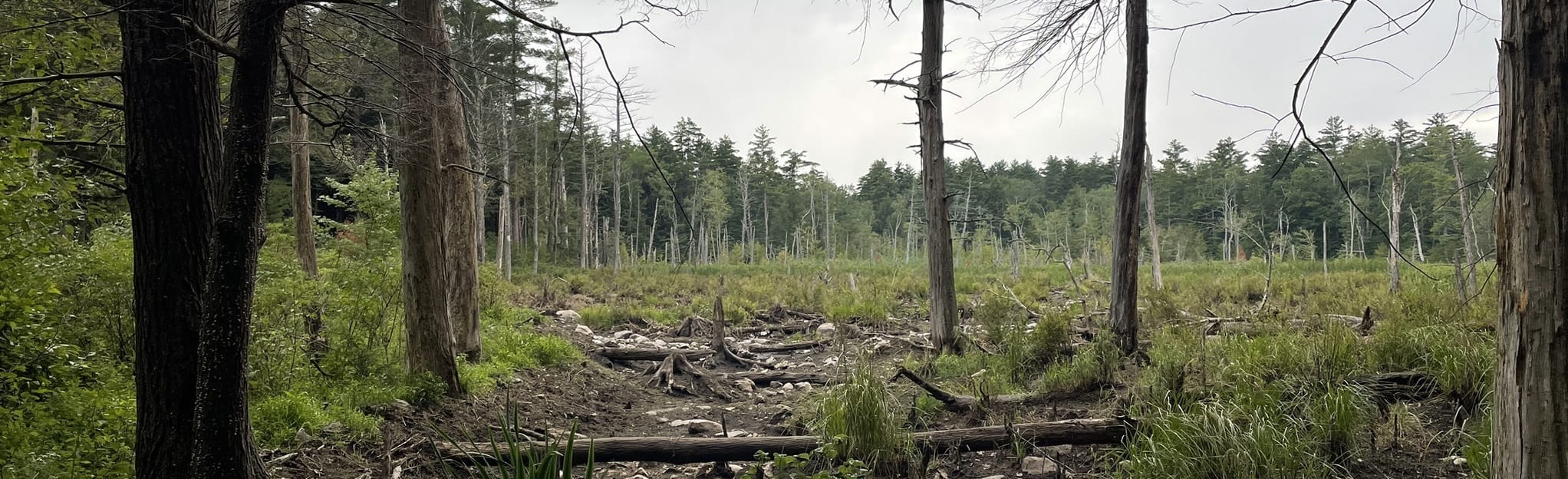 Steepletop Edie's Way 34 Reviews, Map Massachusetts AllTrails