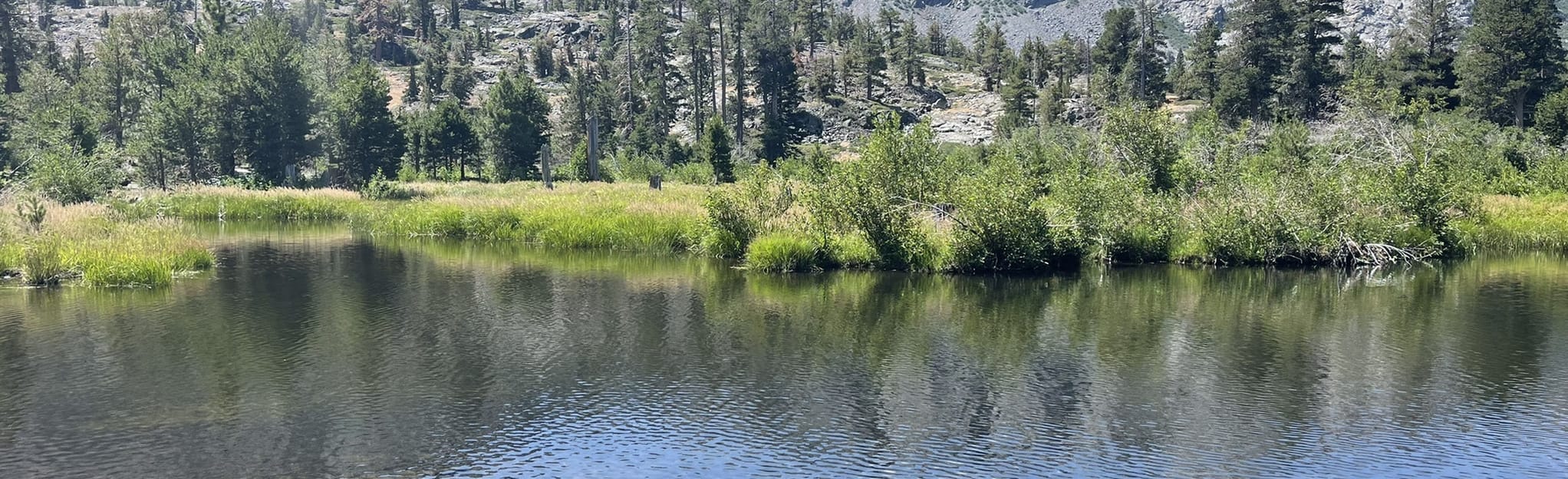 Half Moon Lake 98 Reviews, Map California AllTrails