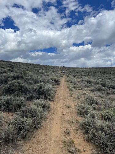 10 Best Trails and Hikes in Gunnison | AllTrails