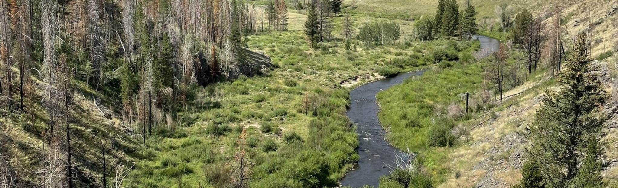 Douglas Creek Trail, Wyoming 5 Reviews, Map AllTrails