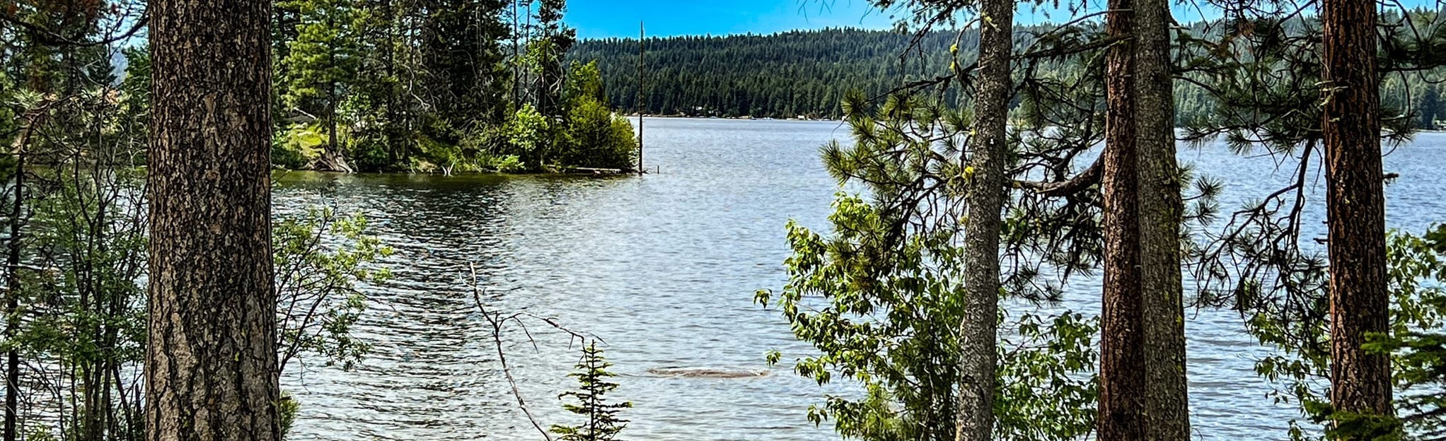Payette Lake Peninsula Trail, Idaho 493 Reviews, Map AllTrails