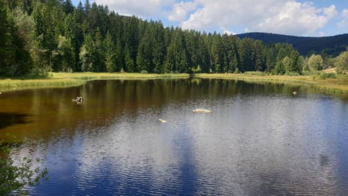 Schluchsee Rundweg