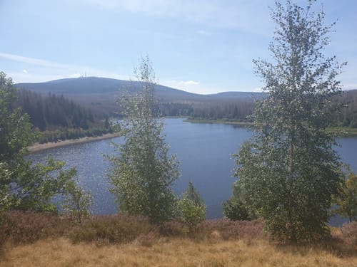 Harzer Grenzweg Etappe 3: Molkenhaus - Brocken