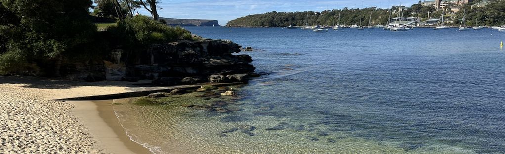 does balmoral beach allow dogs