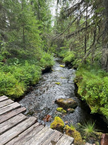 2023 Best Long Trails in Skarsåsen nature reserve | AllTrails