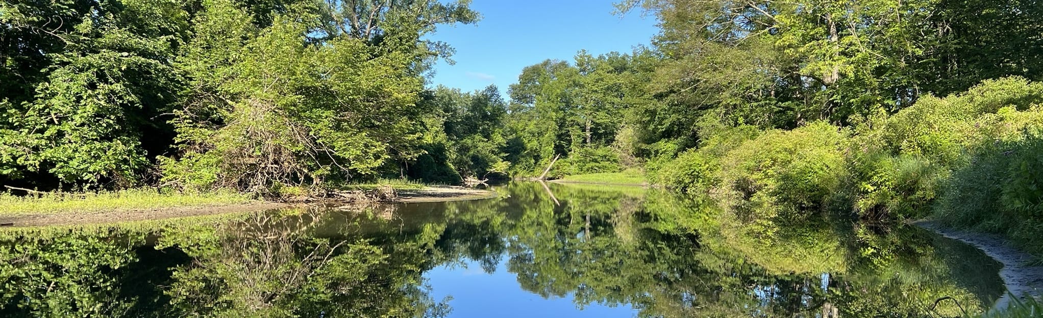 McAllister Park Trail -