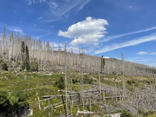 Schierke und Brocken über Eckerlochstieg