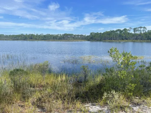 10 Best Trails And Hikes In Santa Rosa Beach 