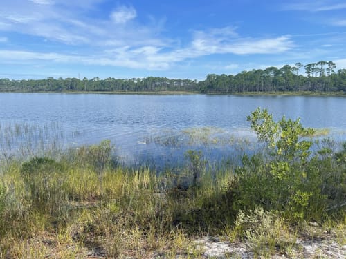 2023 Best Kid Friendly Trails In Santa Rosa Beach AllTrails