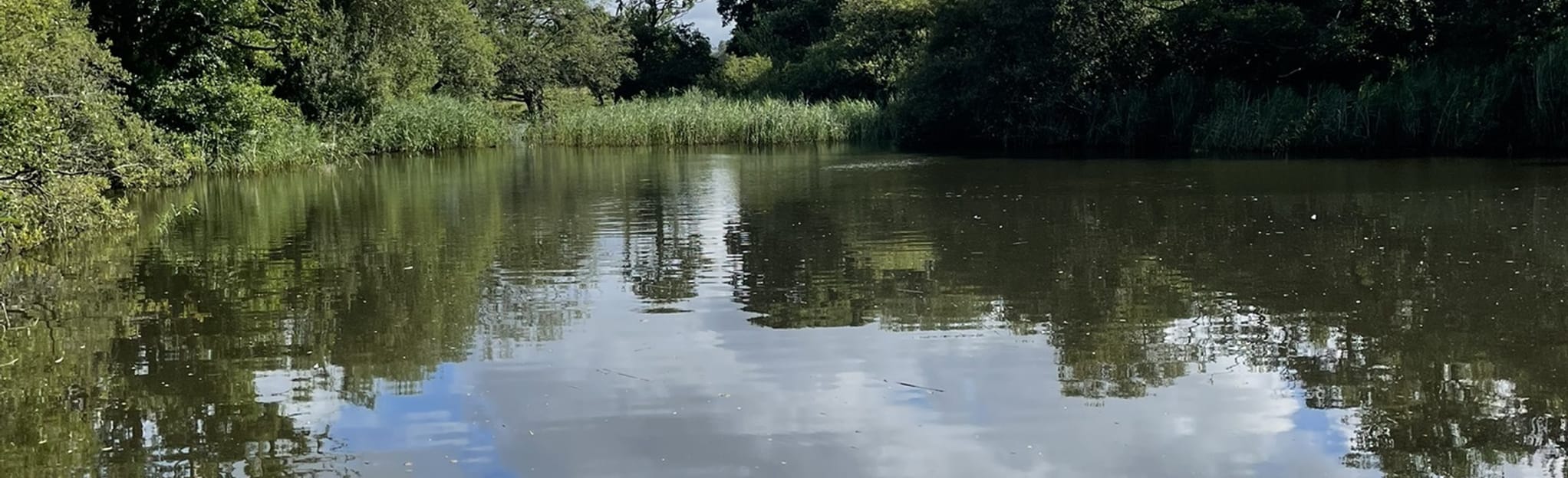 Ulverston to Baycliff, Cumbria, England 6 Reviews, Map AllTrails