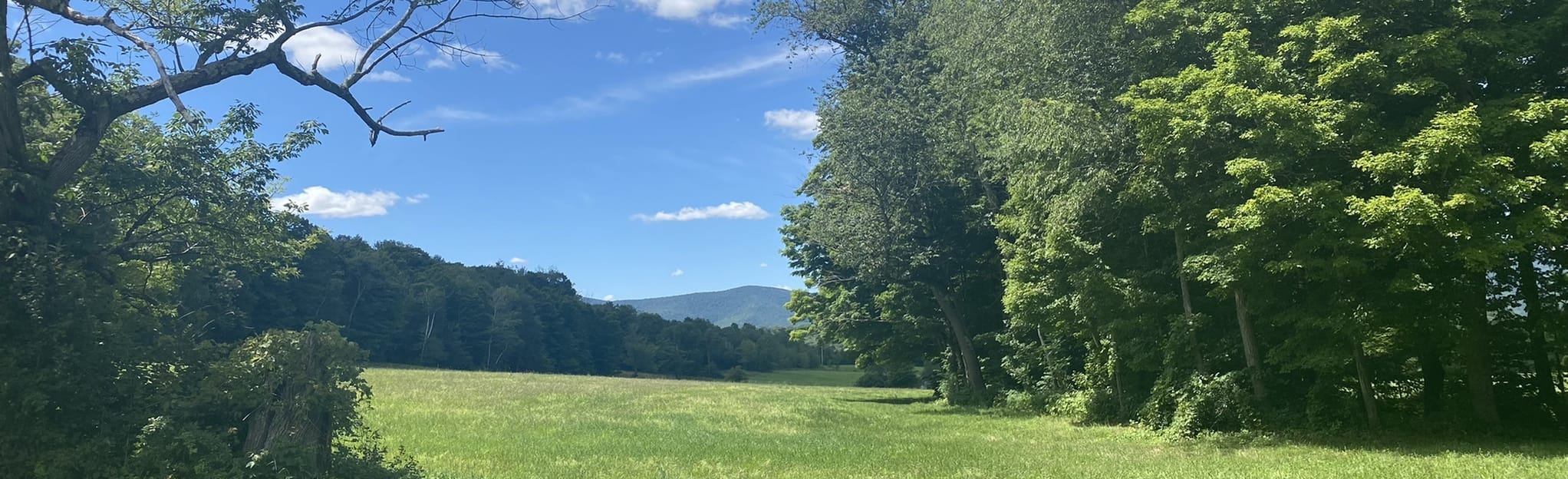 mount-greylock-and-stony-ledge-via-hopper-trail-and-haley-farm-trail