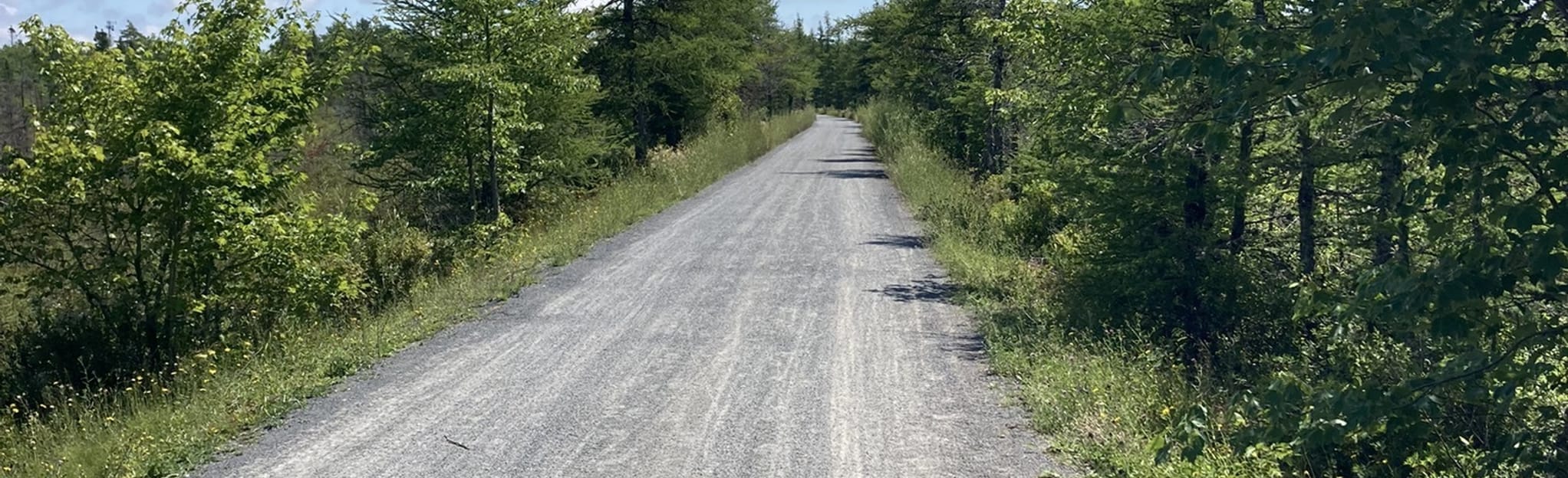 The Fruity Red Trail Nova Scotia, Canada AllTrails